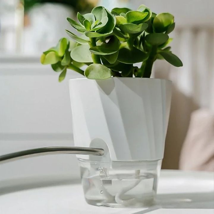 Transparent%20Double%20Layer%20Flower%20Pot%20Plastic%20Self%20Watering%20Flowerpot%20Cotton%20Rope%20Watering%20Potted%20Planter%20with%20Injection%20PortBasketball%20-%20Image%204