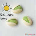 Unique cute hair pin hair clip Apple slice, Lotus root slice, pistachio nut, melon seed, short Corn shape hair accessories.