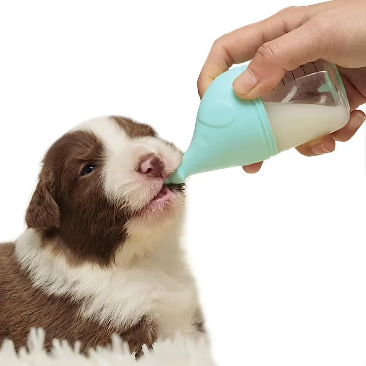Pet%20silicone%20cat%20kitten%20and%20puppy%20pacifier,%20small%20milk%20bottle,%20dog%20water%20cup%20-%20Image%205