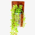 Handmade wall flower vase of natural wood and glass with SS clam & artificial plant for office and living room decoration.( size 12'' by 05'').