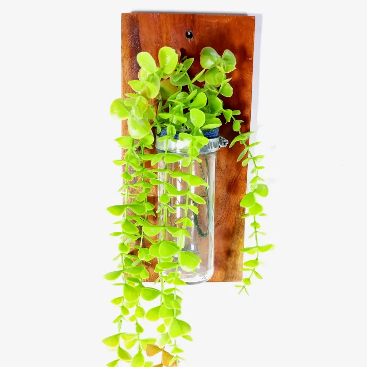 Handmade%20wall%20flower%20vase%20of%20natural%20wood%20and%20glass%20with%20SS%20clam%20&%20%20artificial%20plant%20for%20office%20and%20living%20room%20decoration.(%20size%2012''%20by%2005'')%20-%20Image%205