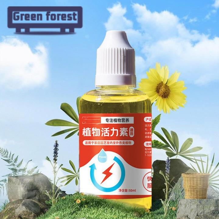 %EF%BC%88New%EF%BC%89Green%20foret%20Plant%20Nutrient%20olution%20Rapid%20Flowering%20Freh-keeping%20Plant%20Nutrient%20-%20Image%206