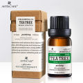 ARTISCARE 100% Pure tea tree essential oil face tea tree oil.