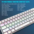 HXSJ V900 Wired 61 Keys Compact Mechanical Keyboard RGB Backlit Keyboard N-key Rollover Blue Switch Double Shot Keycaps, White. 