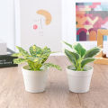 Mini Desktop Small Potted Artificial Plant Bonsai Fake Flower Desk Potted Decor Mzea. 