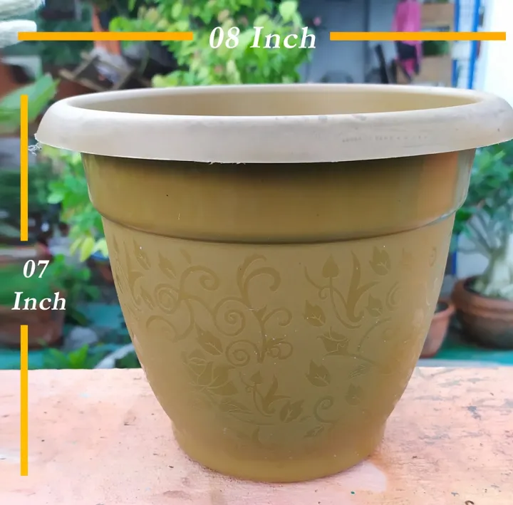 %E0%A6%AB%E0%A7%81%E0%A6%B2%E0%A7%87%E0%A6%B0%20%E0%A6%97%E0%A6%BE%E0%A6%9B%20%E0%A6%9F%E0%A6%AC-5%20%E0%A6%AA%E0%A6%BF%E0%A6%B8-%20(8%20%E0%A6%87%E0%A6%9E%E0%A7%8D%E0%A6%9A%E0%A6%BF%E0%A6%B0%20%E0%A6%86%E0%A6%95%E0%A6%BE%E0%A6%B0)%20%E0%A6%AB%E0%A7%81%E0%A6%B2%20%E0%A6%97%E0%A6%BE%E0%A6%B6%E0%A7%87%E0%A6%B0%20%E0%A6%AA%E0%A6%9F%20-%20Image%202