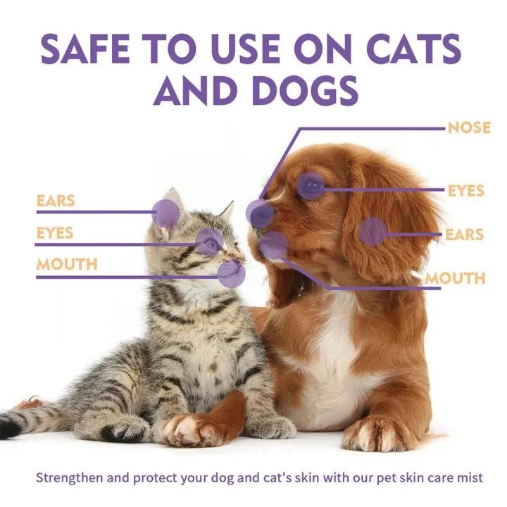 Hypochlorous%20Itch%20Relief%20Spray%20For%20Dogs%20Cats%20Hot%20Spot%20Treatment%20For%20Dog%20Dry%20And%20Itchy%20Skin%20Allergies%20Dermatitis%20Skin%20Care%20S%20S8e1%20-%20Image%206