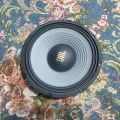 10inch 8ohm 1600wat mid range  Speaker. 