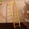 Mini Ladder Figurine Doll House Accessories for Shelf Micro Landscape Office. 