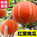 Organic Japanese Sweet Yellow Pumkin 10+ Seeds All Season.