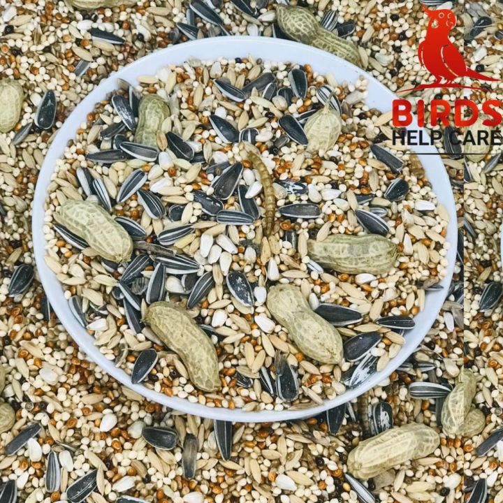Ringneck%20Parrot%20Premium%20Seed%20Mix%20For%20Bird-1kg%20-%20Image%202