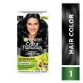 Garnier Color Naturals Nourishing Permanent Hair Color 1 Natural Black 70ml INDIAN.