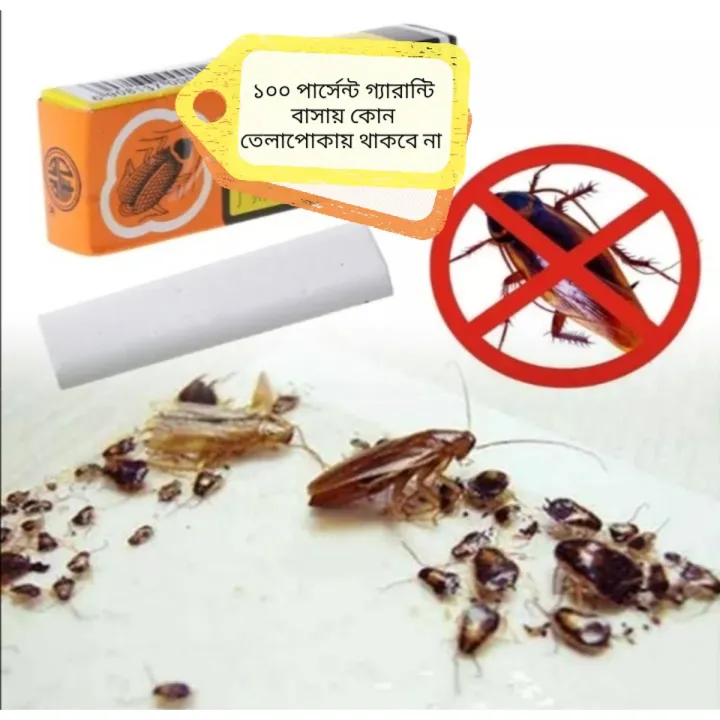 Effective Roach Killer Chalk Cockroach Pesticide for Home Shop | Daraz ...