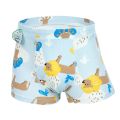 5pcs/lot Kids Boys Underwear Cartoon Children's Shorts Panties Teenagers Cotton Underpants Lions Cute Cartoon Patterns. 