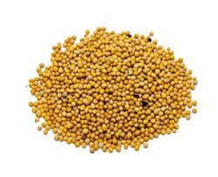Mustard%20Seed%20(%20White)%20-%20150%20gm%20/%20sorisa%20-%20Image%203