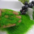 Natural Look Artificial Moss Powder for Bonsai and Miniature Garden Decor, 50Gm - Home Decoration Item. 