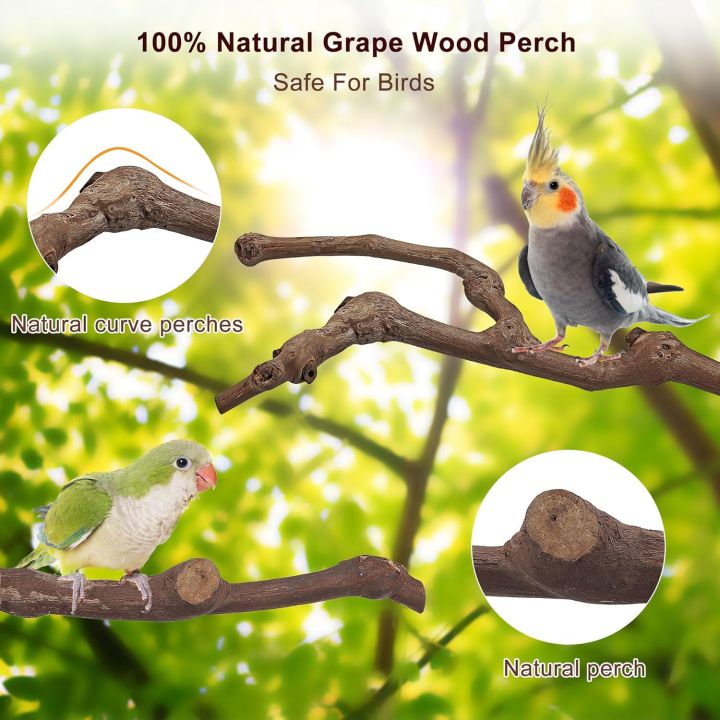 5PCS%20Bird%20Perch%20Natural%20Wood%20Grape%20Stick%20Stand,%203%20Grape%20Stick%20Paw%20Grinding%20Fork%20Parakeet%20Chewing%20Stick%202%20Parrot%20Stand%20Branch,%20Chewing%20Exercise%20Branches%20Bird%20Cage%20Accessories%20-%20Image%205