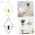 Hanging Vase Boho Wall Decor Wall Planter for Bedroom Study Room Hallway. 
