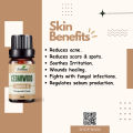 Ikebana Cedarwood Essential oil 20 ml.