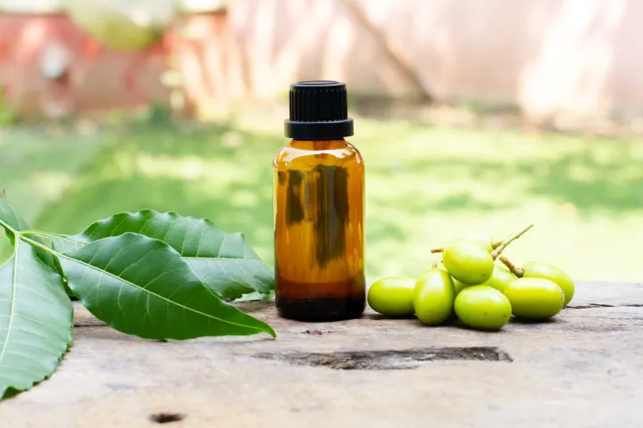 Neem%20Oil%20/%20Nim%20Tel-200%20ml%20-%20Image%202