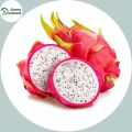 10 Pcs Natural Dragon Pitaya Fruit Seeds - 10 Pcs Seeds. 