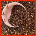 Black Millet For Bird Food 250g. 