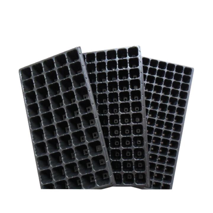 Seeding%20Stone%20Seedbed%20seed%20tray%20hole%2072%20Big%20Cell%20&%20Big%20128%20Cell%20-%20Image%205
