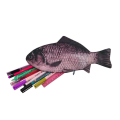 Fish Pencil Bag Crucian Carp Pencil Box Salted Fish Pencil Case Fish Shape Storage Bag Korean Creative Imitation pencil Bag.