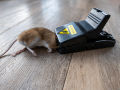 01Pcs Mouse Trap for House and Office. 