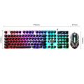 [GD]Gaming LED Keyboard and Mouse Combo 75% Compact 89 Keys with Numbric Tenkeys Pad,Rainbow Backlit,Ergonomic Mice 2 Side-Button USB Wired Mechanical Feel for PC Resberry Pi Computer. 