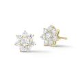 Seven Stone Diamond Cut Zirconia Flower Stud Earring. 