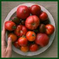 Red Cherry Tomato - 20 Seeds.