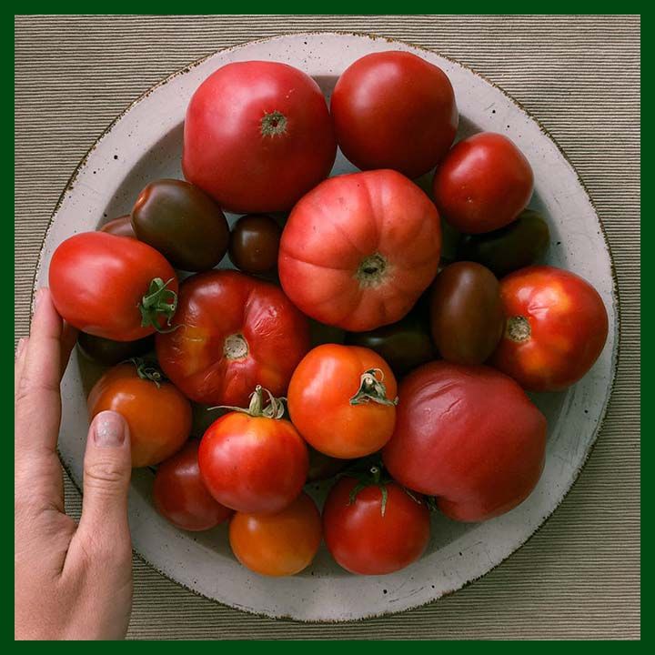 Red%20Cherry%20Tomato%20-%2020%20Seeds%20-%20Image%205