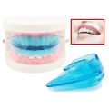 【User-friendly】 New Portable Teeth Retainer Durable Dental Brace EVA Teeth Alignment Trainer.