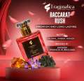 Vampire Blood Super Premium Perfume Oil – 10-Hour Long-Lasting Viral Fragrance | Available in 100ML, 50ML, 30ML, 15ML, 6ML, 3ML  orginal. 