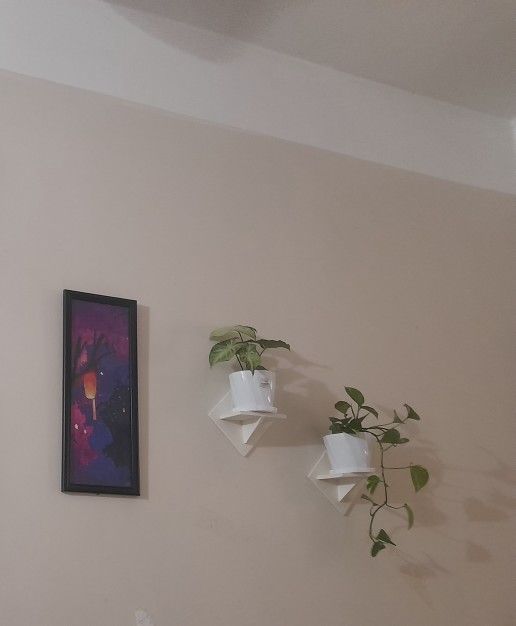 2%20Pcs%20Wall%20Hanging%20Kite%20Flower%20Stand%20.%20Self%20Adhesive%20Punch%20Free%20Wall%20Decorative%20Showpiece%20Holder%20Only%20.%20Only%20square%20Shape%20Stand%20Without%20Flower%20&%20showpiece.%20-%20Image%207
