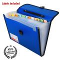 TRANBO Plastic File Folder with 12 Pockets, Handle, Index Tab, A4 Size, (Multicolor). 