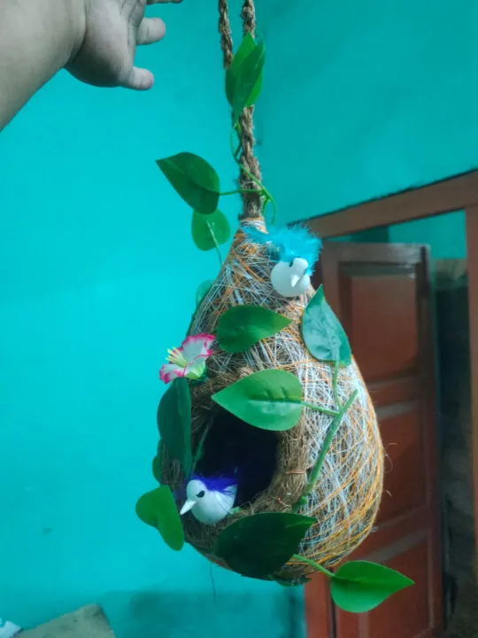 NEW%20BIG%20Hanging%20Babui%20Pakhir%20Basha%20with%20Birds%20&%20Plastic%20Plant%20%E2%80%93%20Natural%20Look%20Bird%20Nest%20D%C3%A9cor%2015"%20Home%20&%20Garden%20Decoration%20-%20Image%204