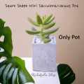 Square Shape Mini Plant Pot For Cactus Succulent Tubs Cement Made.