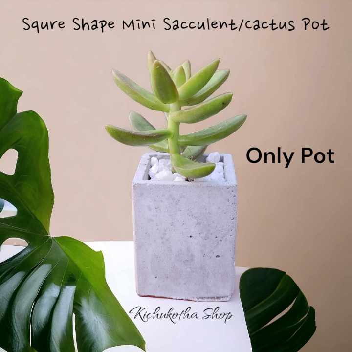 Square Shape Mini Plant Pot For Cactus Succulent Tubs Cement Made