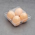 50Pcs Plastic Egg Cartons Bulk Clear Chicken Egg Tray Holder for Family Pasture Chicken Farm Business Market- 4 Grids. 