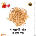 Pakistani Basmoti Rice Seeds. 