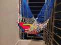 Dulna For Adult Man Woman Baby all people use dulna -(Random Color) Only Dulna. 