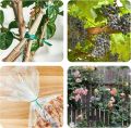 Plant Ties for Climbing Plants 50 Pcs 6 inchi. 
