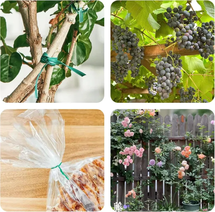 Plant%20Ties%20for%20Climbing%20Plants%2050%20Pcs%206%20inchi%20-%20Image%205