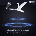 Orient Aerostorm Premium Ceiling Fan, White 1320 mm Ceiling Fan || Premium PU Finish || Durable Rust-Proof Blades || Perfect for Large Spaces || Whisper-Smooth Operation || Stylish Color Options to Complement Modern Interiors. 