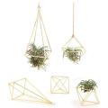 Air Plant Holder 20 Packs Metal Decor Modern Geometric Hanger Hanging Air Plants Planter Tabletop Display Rack. 