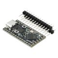 RP2040 Pro Micro Development Board for Raspberry Pi Compatible with Helios OxB2 MicroPython.