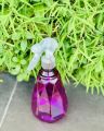 Spray Bottle 500ml with LOCK Switch Nozzle Flower Garden Water Disinfection by OHG.