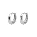 AliExpress S925 sterling silver glossy earrings cross-border minimalist design sense of male and female earrings jewelry.